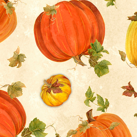 FALL SPLENDOR